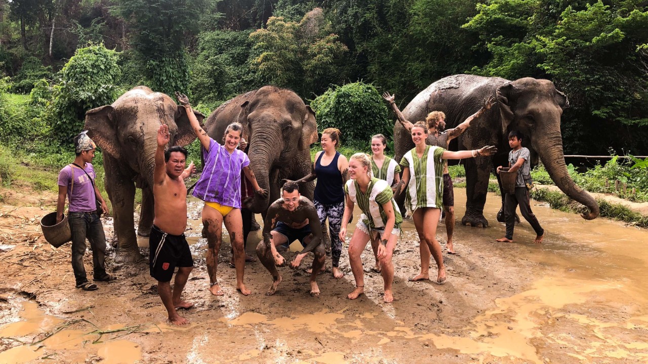 Half-day Elephant Village Sanctuary