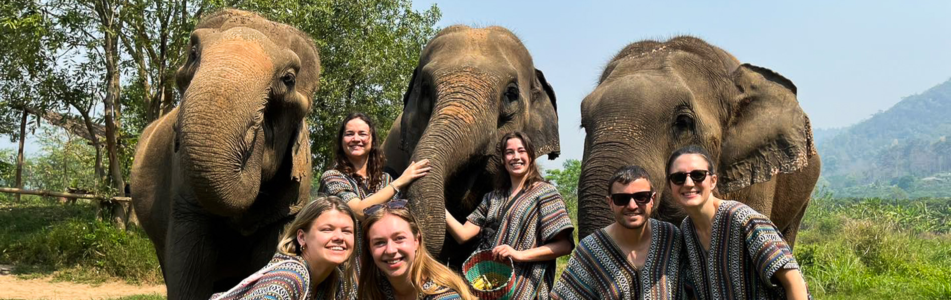 Full-day Chiang Mai Elephant Legend