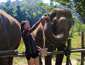 Full-day Chiang Mai Elephant Legend