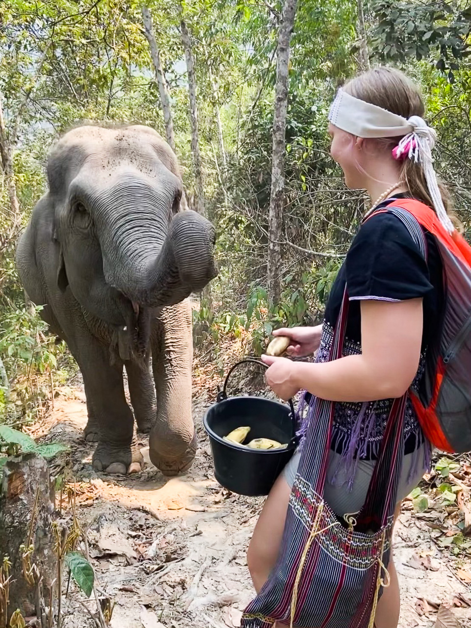 Fullday Elephants At Home Thai Elephant Tours