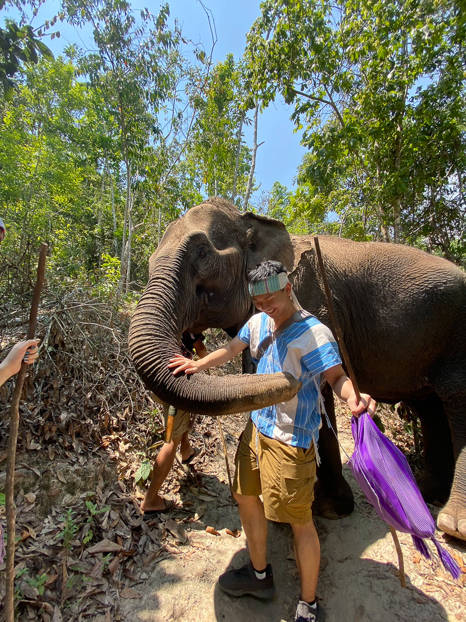 Fullday Elephants At Home Thai Elephant Tours