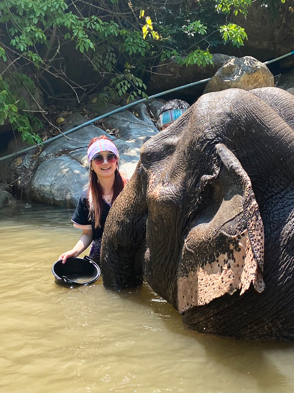 Fullday Elephants At Home Thai Elephant Tours
