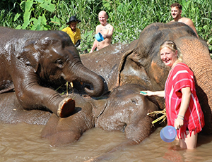 Full-day Trekking White Water Rafting and Elephant Care