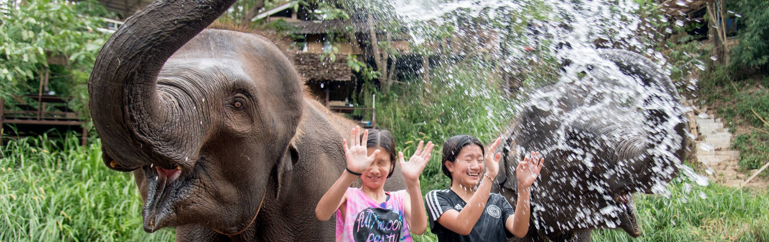 Elephant Bathing (Child) Chiang Mai Elephant Friends