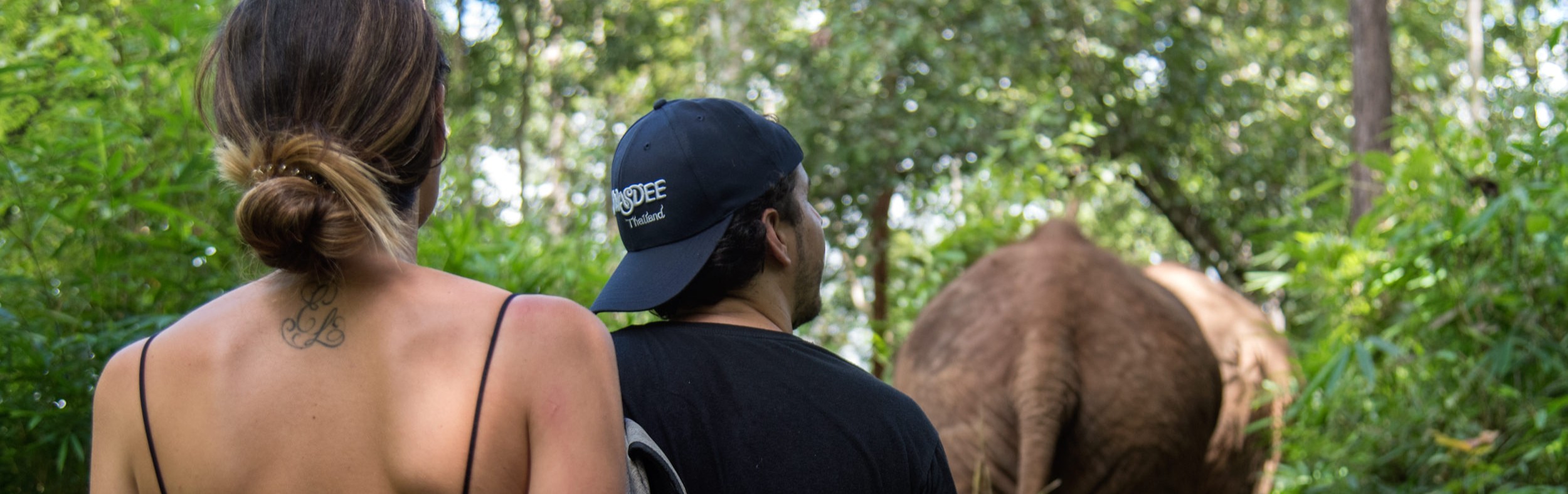 Full-day visit (Child) without bamboo rafting Chiang Mai Elephant Friends