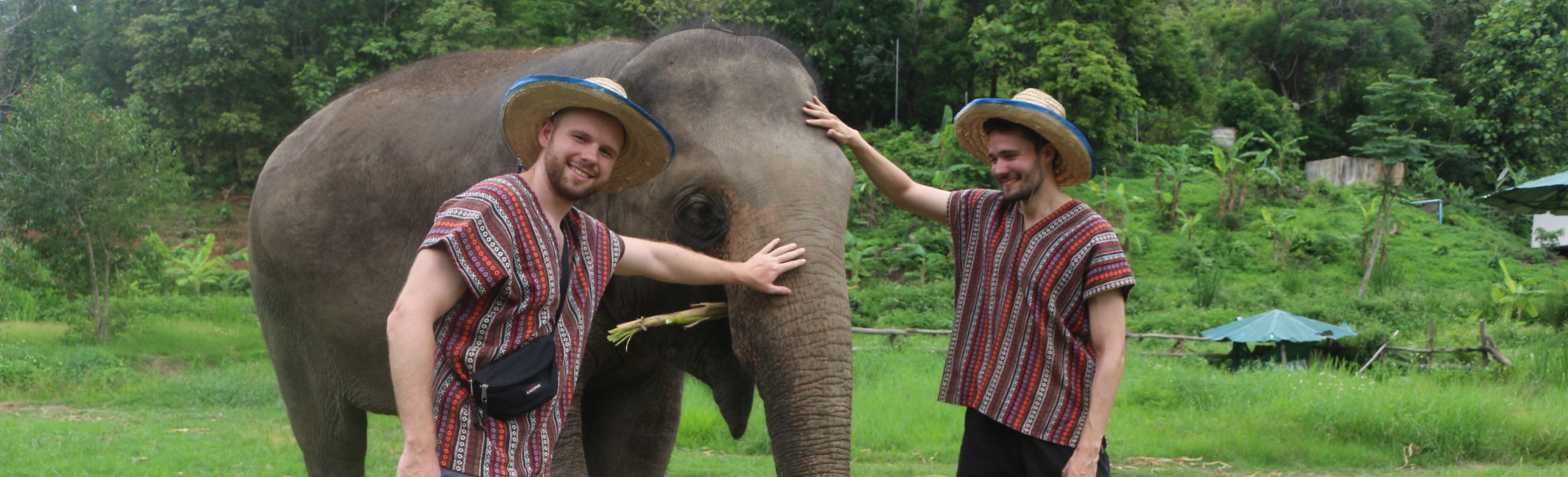 One day Elephant care Chiang Mai Elephant Legend