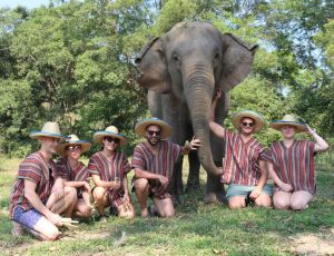 One day Elephant care Chiang Mai Elephant Legend