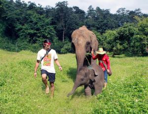 Elephant care (Child) Chiang Mai Elephants