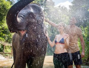 Elephant Bathing (Child) Chiang Mai Elephant Friends