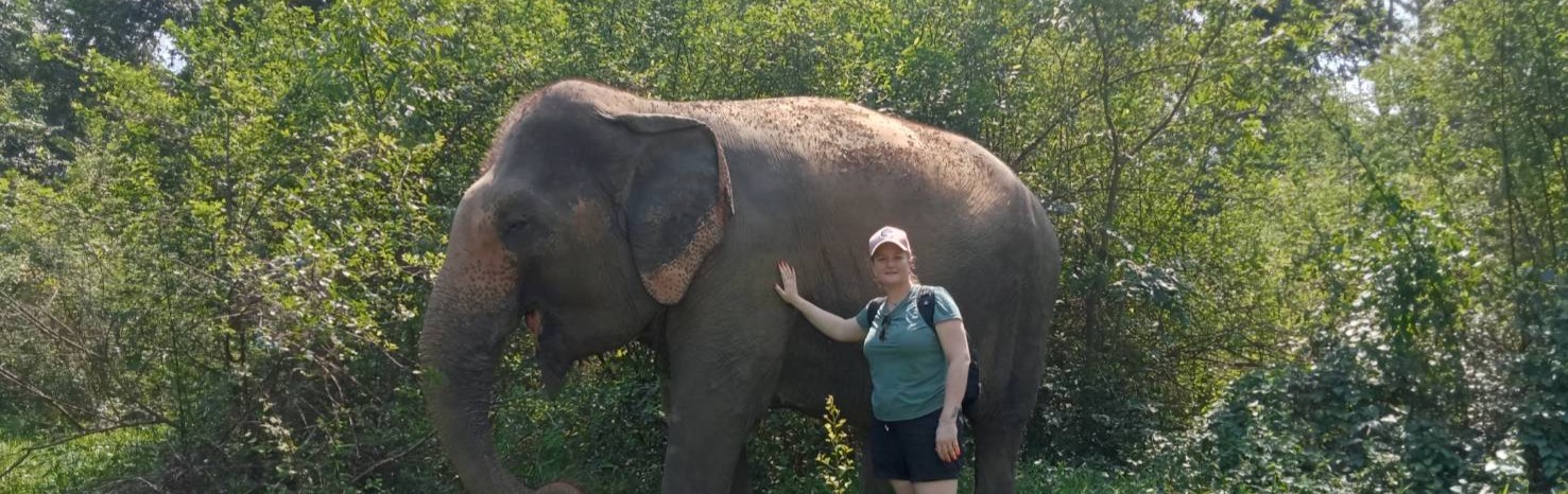 Half-Day (Morning) Elephant Haven Kanchanaburi