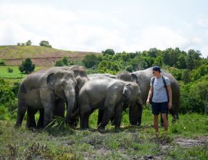 Watch me Program Elephant Jungle Sanctuary Chiang Mai