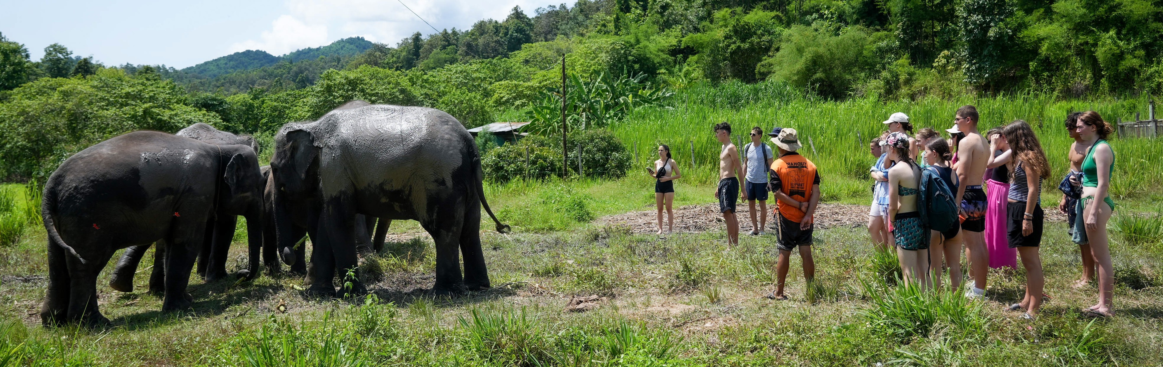 Overnight program Elephant Jungle Sanctuary Chiang Mai