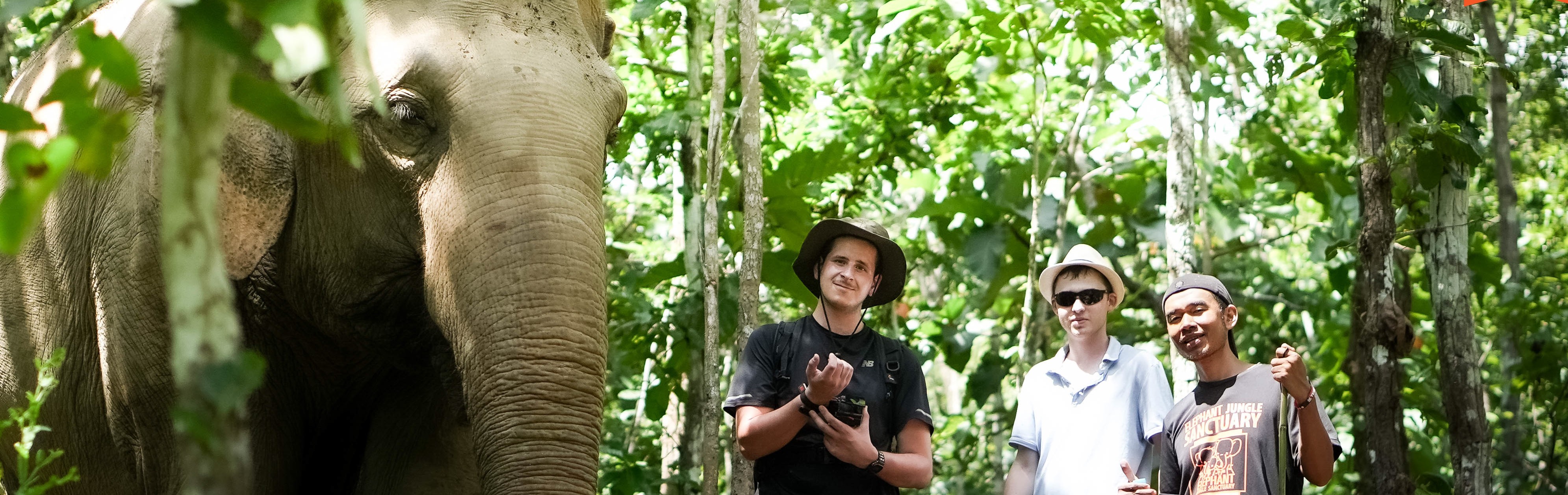 Walk with elephant Elephant Jungle Sanctuary Chiang Mai
