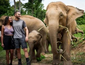 Half day program Elephant Jungle Sanctuary Koh Samui