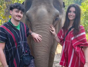 Half-day (Morning) Elephant Village Sanctuary Chiang Mai