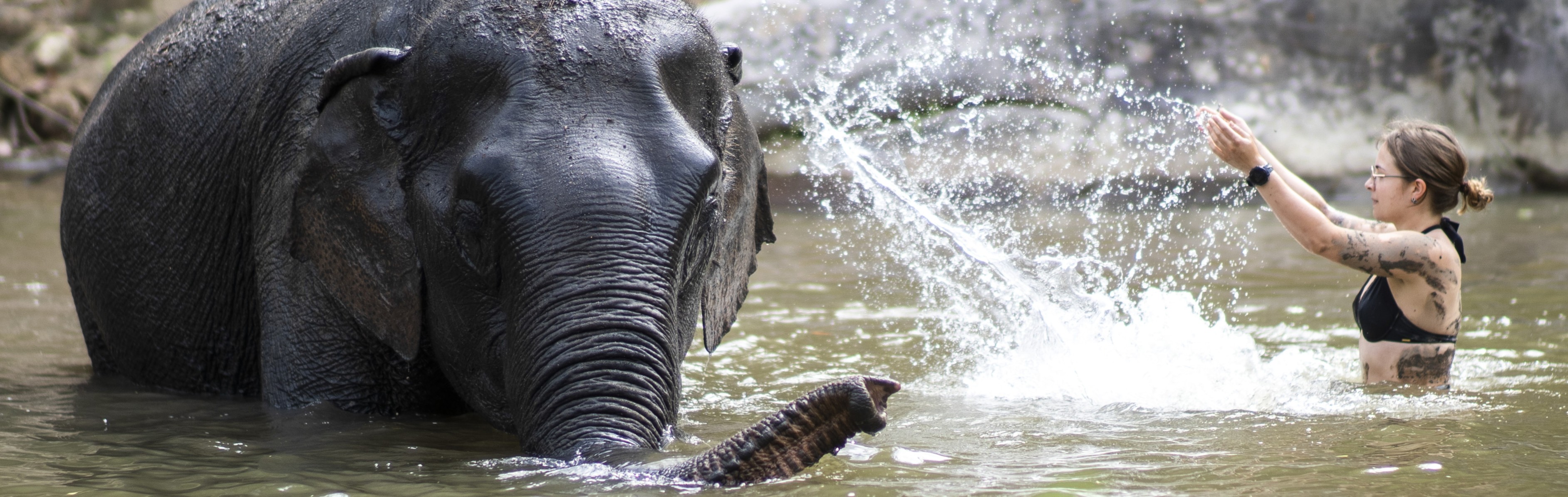 Full-Day Into the Wild Chiang Mai
