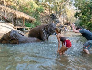 Full-Day Visit Tawan Riverside Elephant Resort Chiang Mai