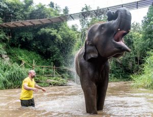 Full-Day Visit without Bamboo Rafting Tawan Riverside Elephant Resort Chiang Mai