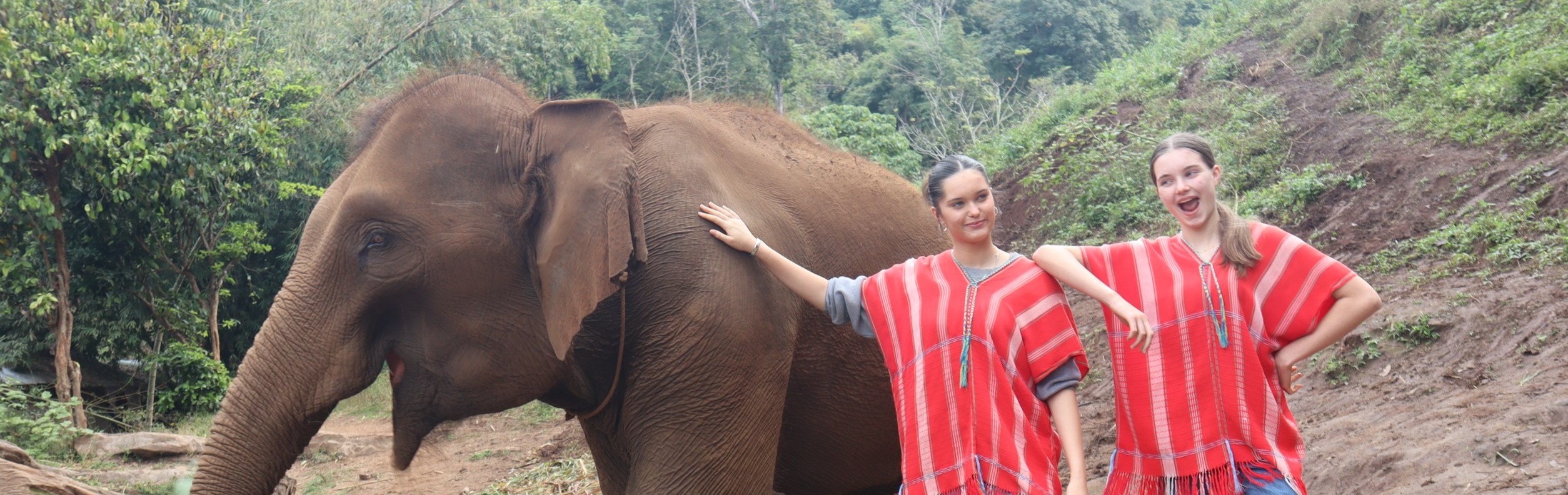 Half-Day elephant care Bamboo Elephant Chiang Mai
