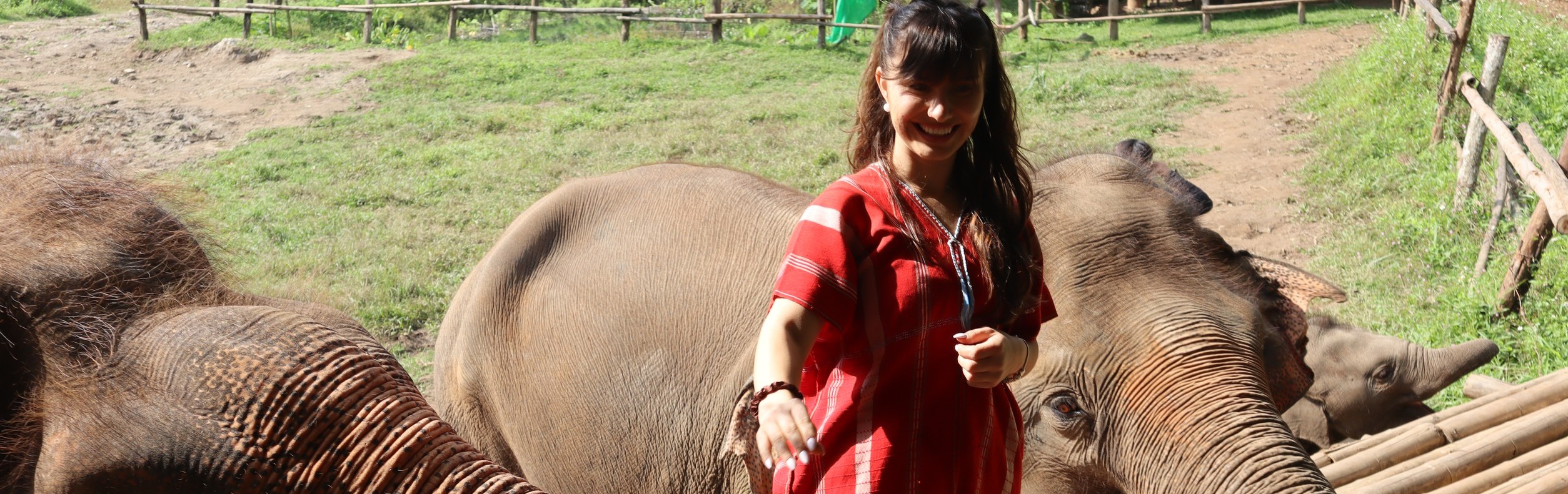 Day Trip Sticky waterfall, White water rafting and elephant care Bamboo Elephant Chiang Mai