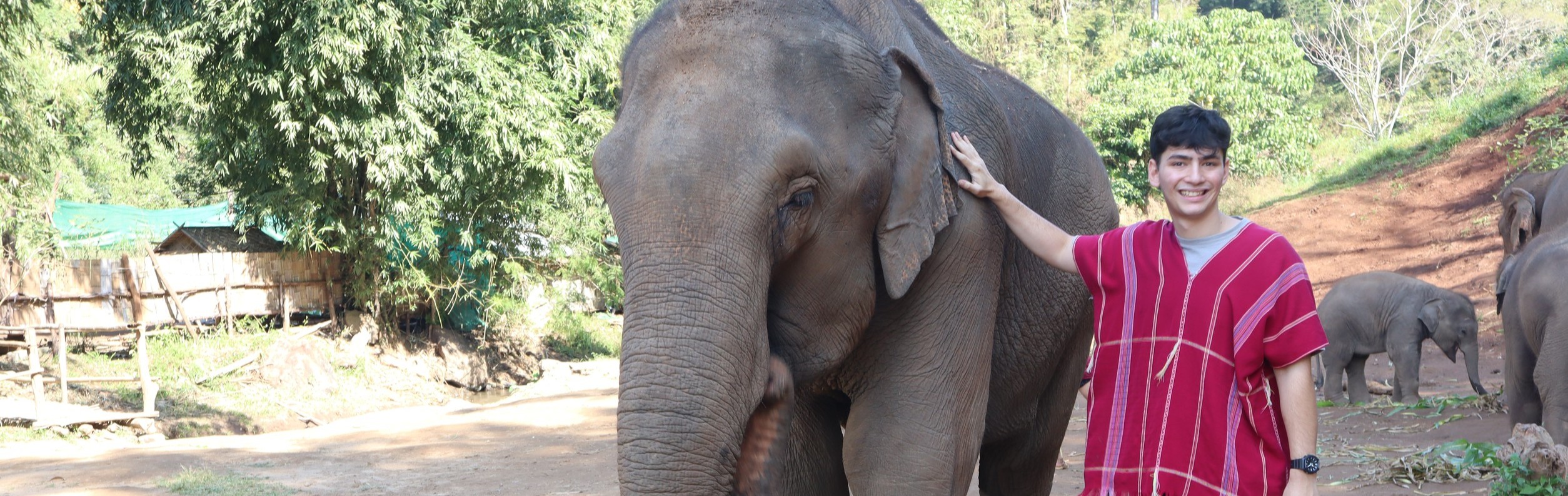 One day trekking, white water rafting and elephant care Bamboo Elephant Chiang Mai