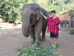 Half-Day elephant care Bamboo Elephant Chiang Mai