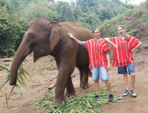 Full-Day elephant care and sticky waterfall Bamboo Elephant Chiang Mai