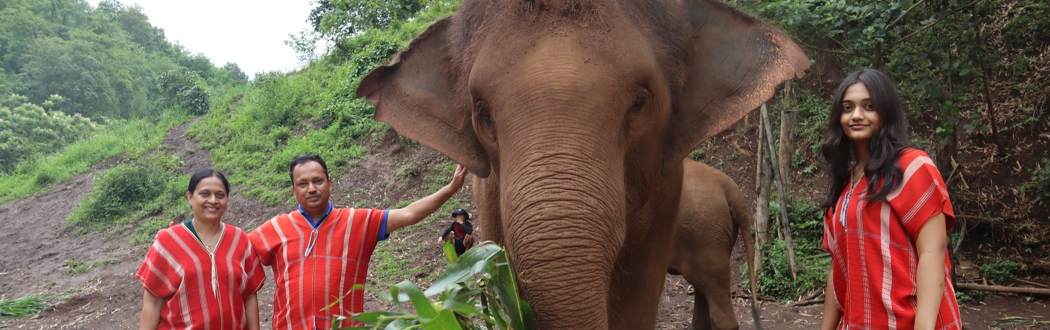 Day Trip sticky waterfall, bamboo rafting and elephant care Bamboo Elephant Chiang Mai