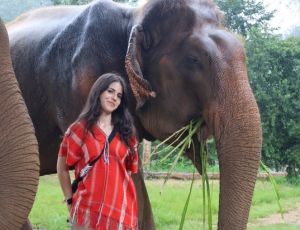 Day Trip sticky waterfall, bamboo rafting and elephant care Bamboo Elephant Chiang Mai