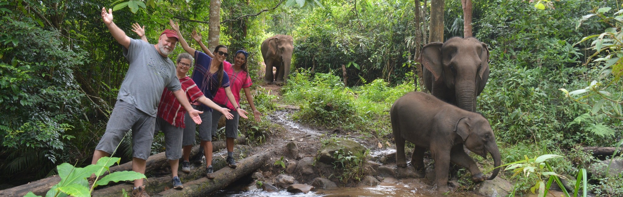 Full-Day visit Chiang Mai Elephant Land