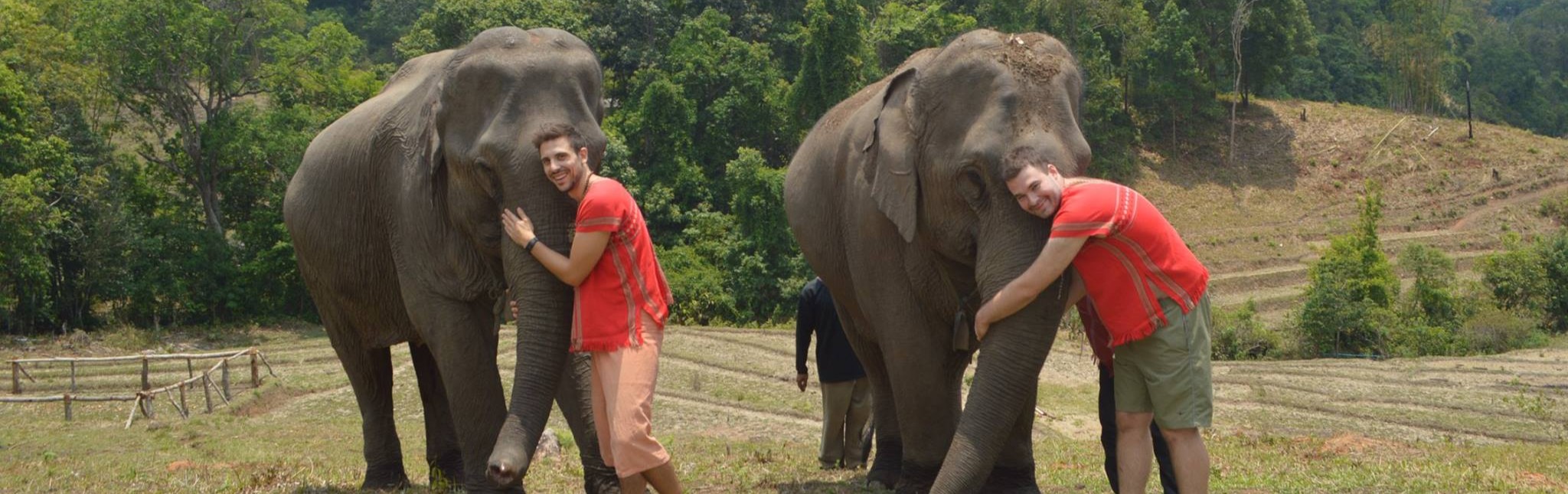 Half-Day Elephant care (2 hours) Chiang Mai Elephant Land