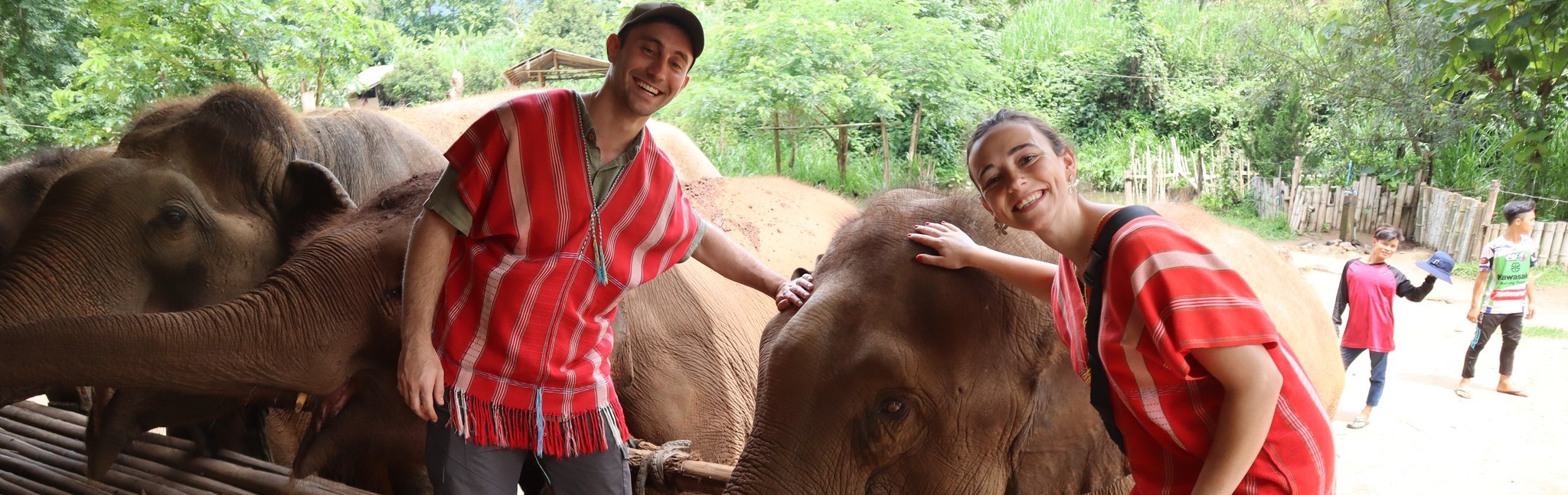 Half-Day elephant care (No Riding) & Bamboo rafting Bamboo Elephant Chiang Mai