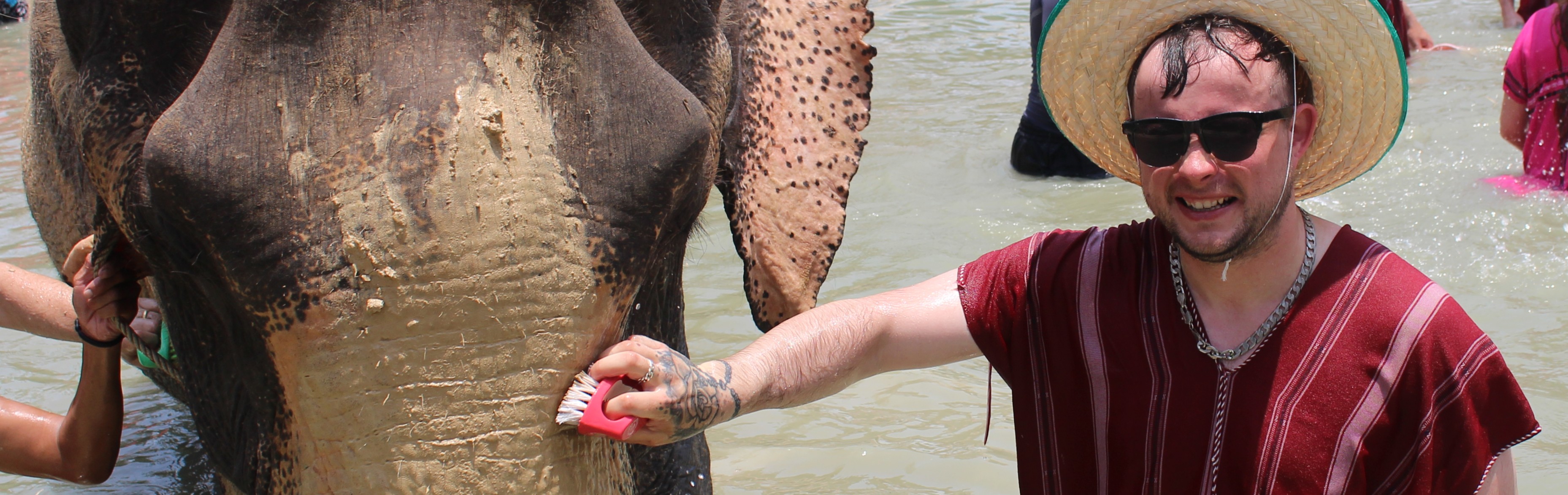Full-Day Bangkok Elephant Park