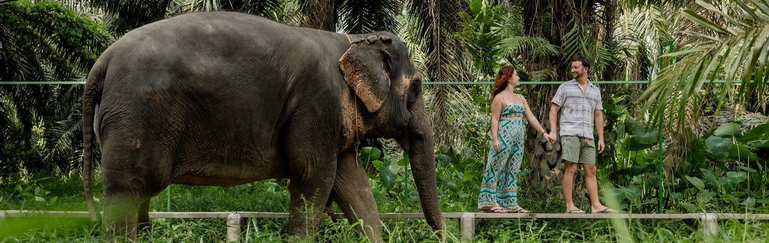 Half-Day elephant care Khao Sok Elephant Conservation Centre