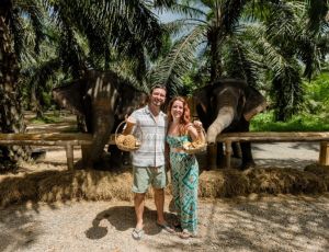 Half-Day elephant care Khao Sok Elephant Conservation Centre