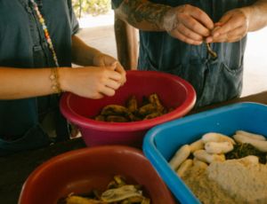 Half-Day care Khao Lak Elephant Home